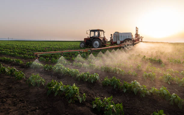 Best Pest Inspection Near Me  in Boyceville, WI