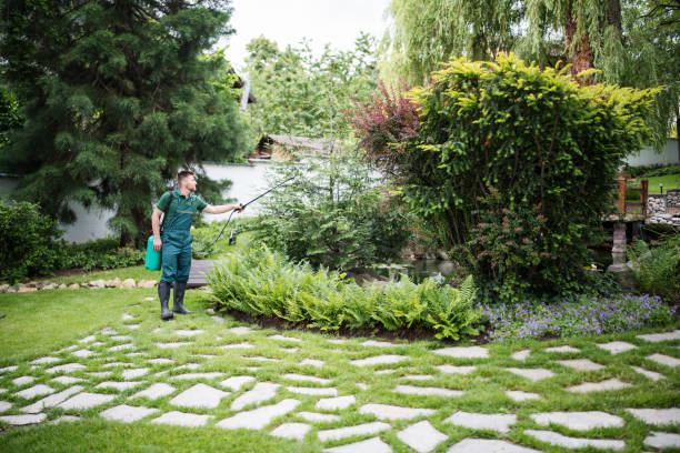Best Affordable Exterminators  in Boyceville, WI