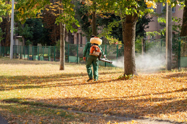 Best Mosquito Control Services  in Boyceville, WI