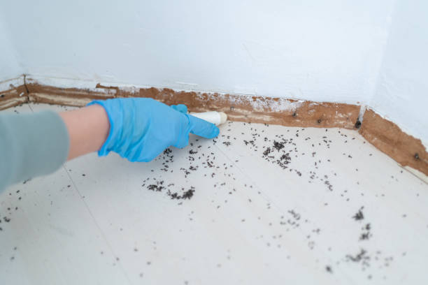 Best Wildlife Control Services  in Boyceville, WI